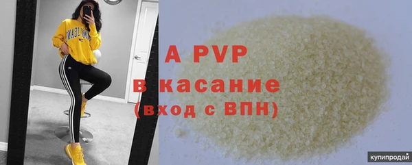 хмурый Кукмор