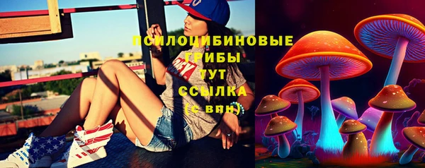 хмурый Кукмор