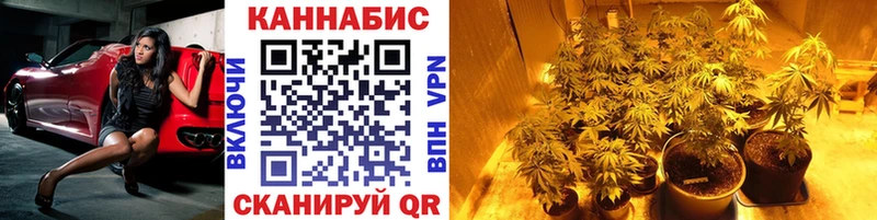 Купить  Ликино-Дулёво  Бошки марихуана сатива 